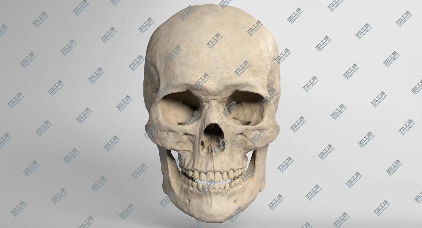 images/goods_img/2021040232/3D model Skull/2.jpg